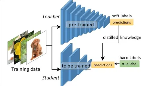 StudentTeacher